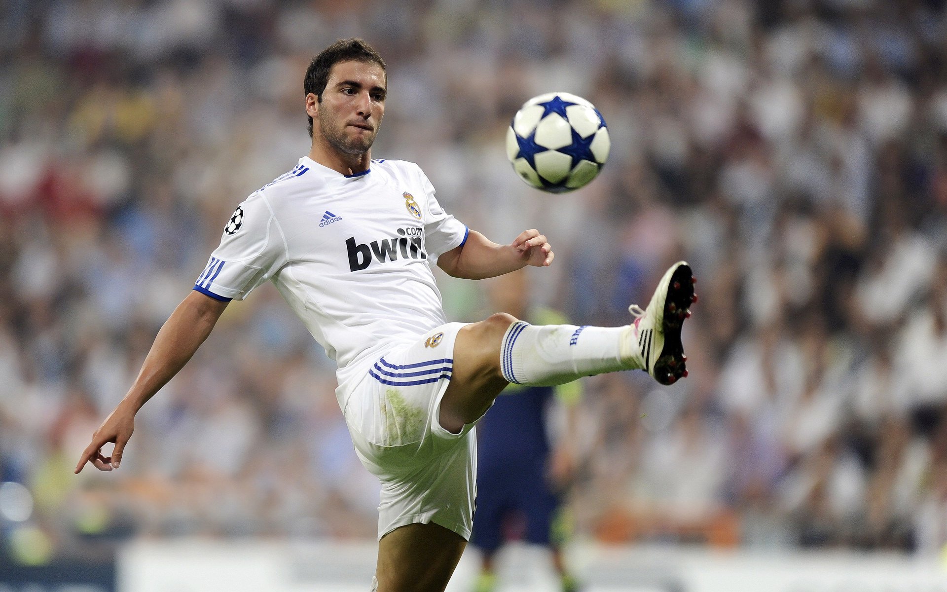 猛龙末节带走森林狼，米切尔在欧冠决赛接管比赛，体育世界里，真正的带走是什么？