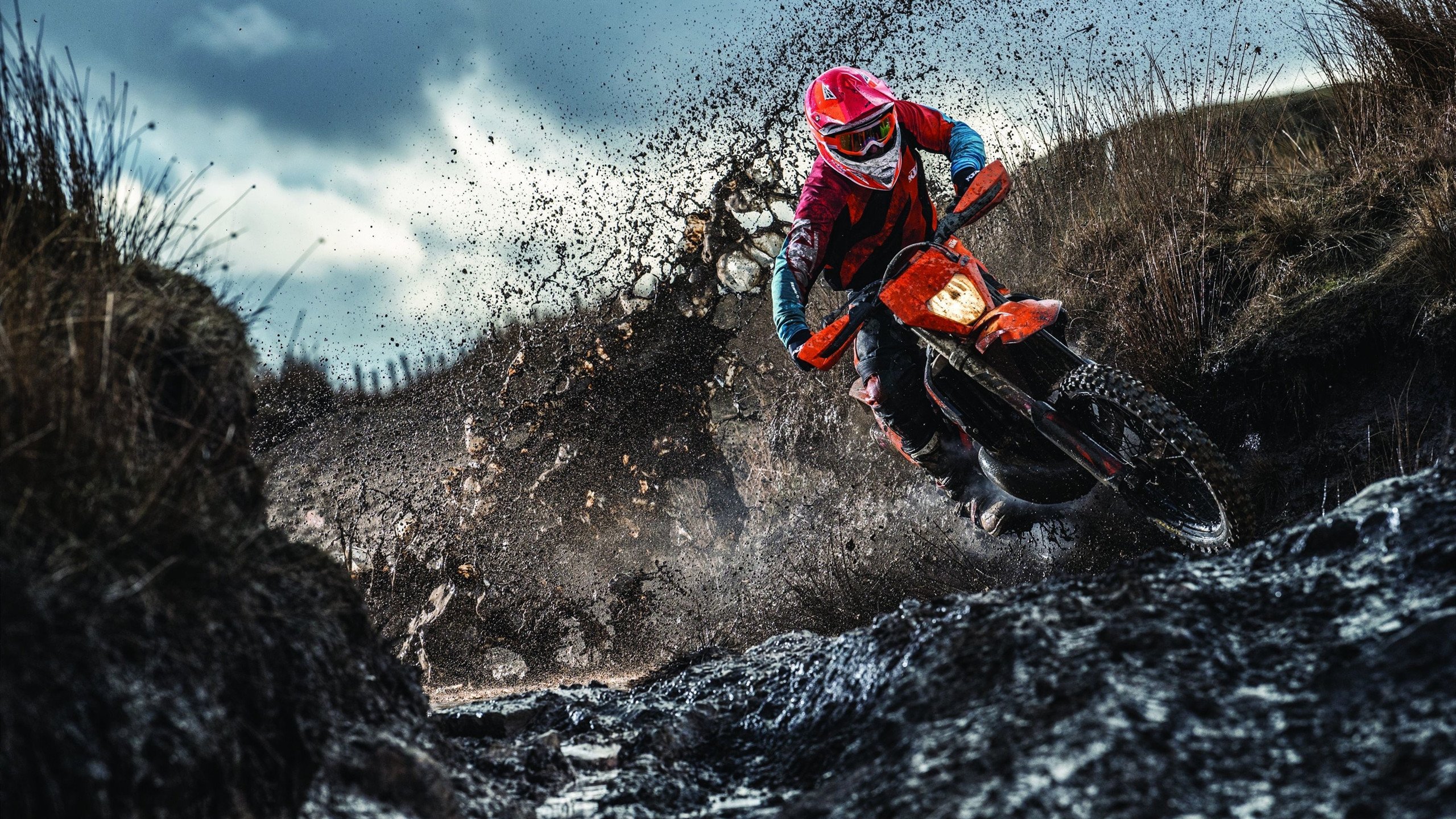 小贾伦关键时刻站出来,老鹰收割尼克斯,当非典型英雄撕掉剧本